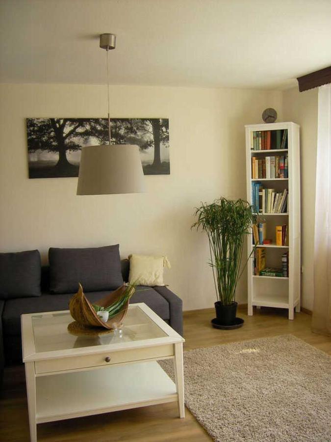 Haus Ellbogen Διαμέρισμα Momlingen Εξωτερικό φωτογραφία